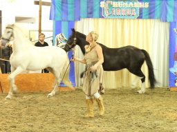 IMG_5188_web